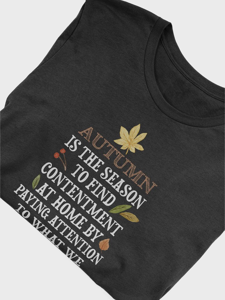 🍁 Autumn is the Season to Find Contentment T-Shirt | Inspirational Fall Quote Tee | Cozy Autumn Shirt product image (31)