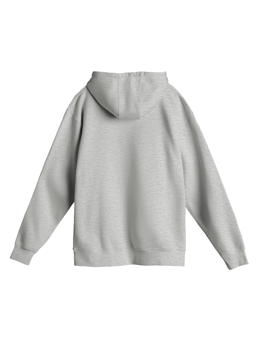 Modesty Power Hoodie, Bold Statement Gift, Empowering Fashion product image (7)