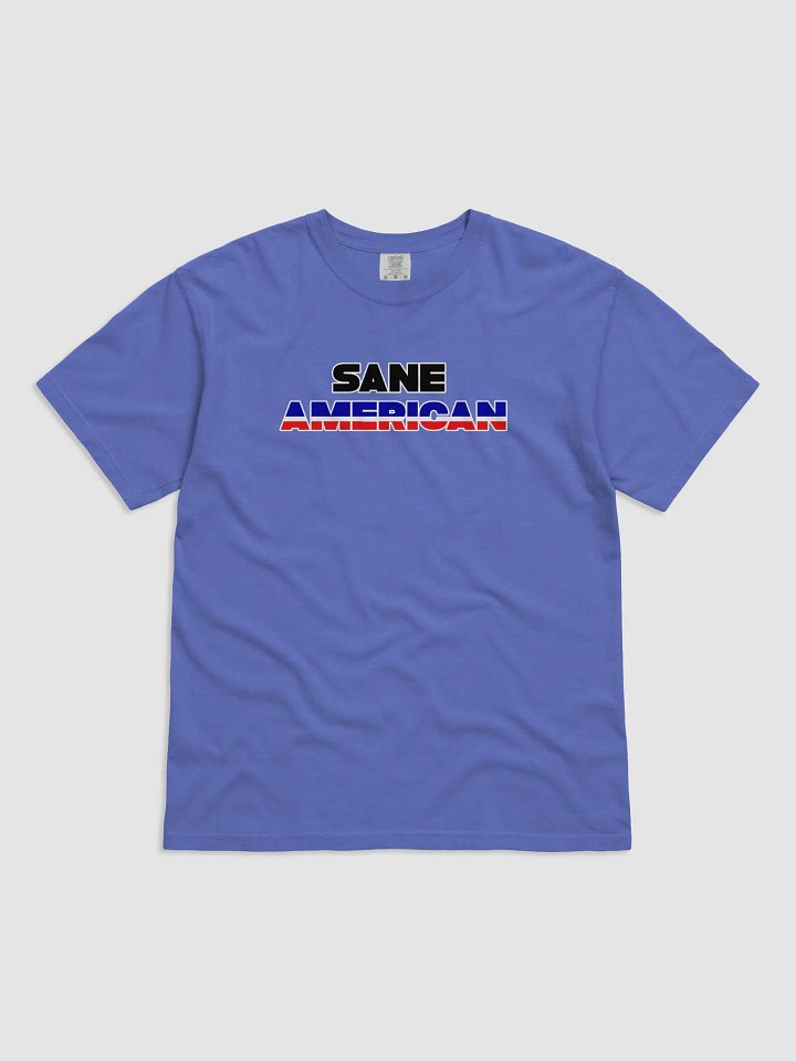 Sane American T-Shirt product image (1)