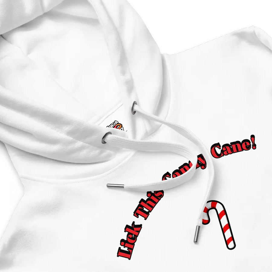 Adult Humor Holiday Premium Eco Hoodie product image (1)