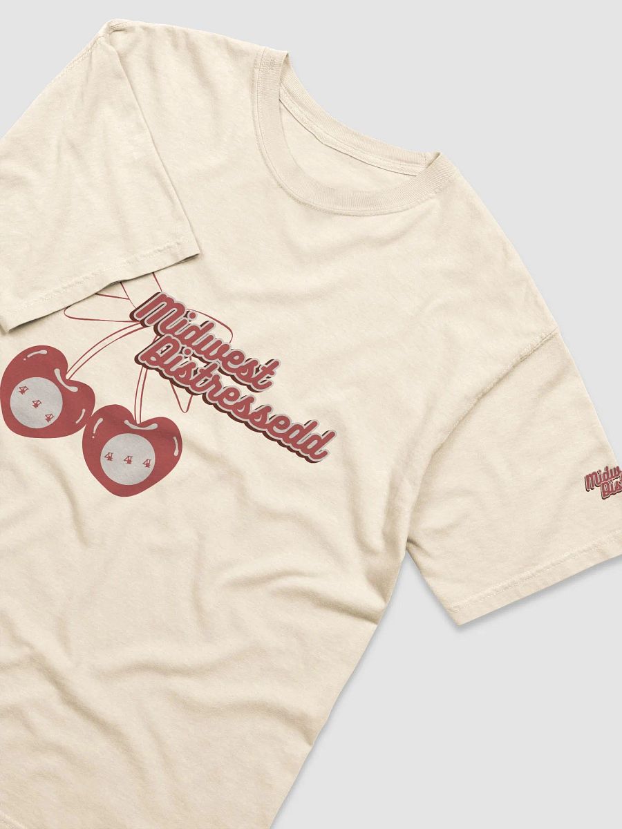 444 Cherries Embroidered Basic T-Shirt product image (20)
