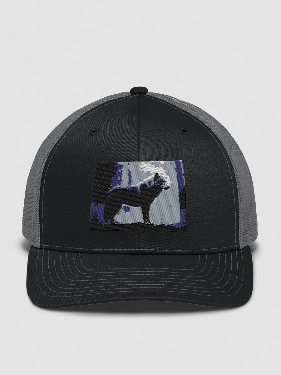 beautiful cap with a wolf logo product image (1)