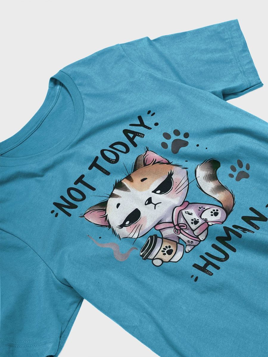 "Not Today, Human" Lazy Cat T-Shirt product image (3)