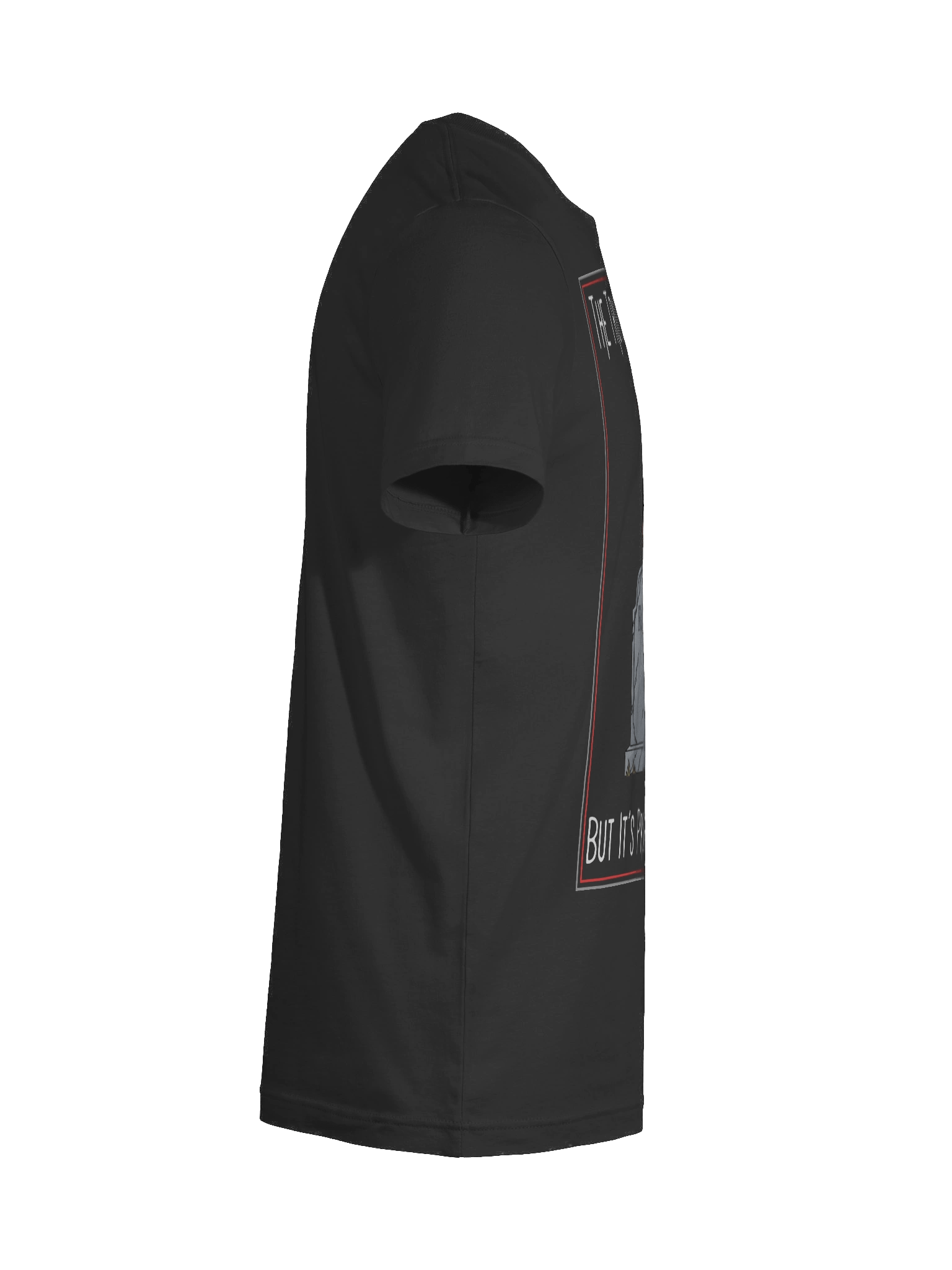 Probably a Raccoon Premium Tee product image (48)