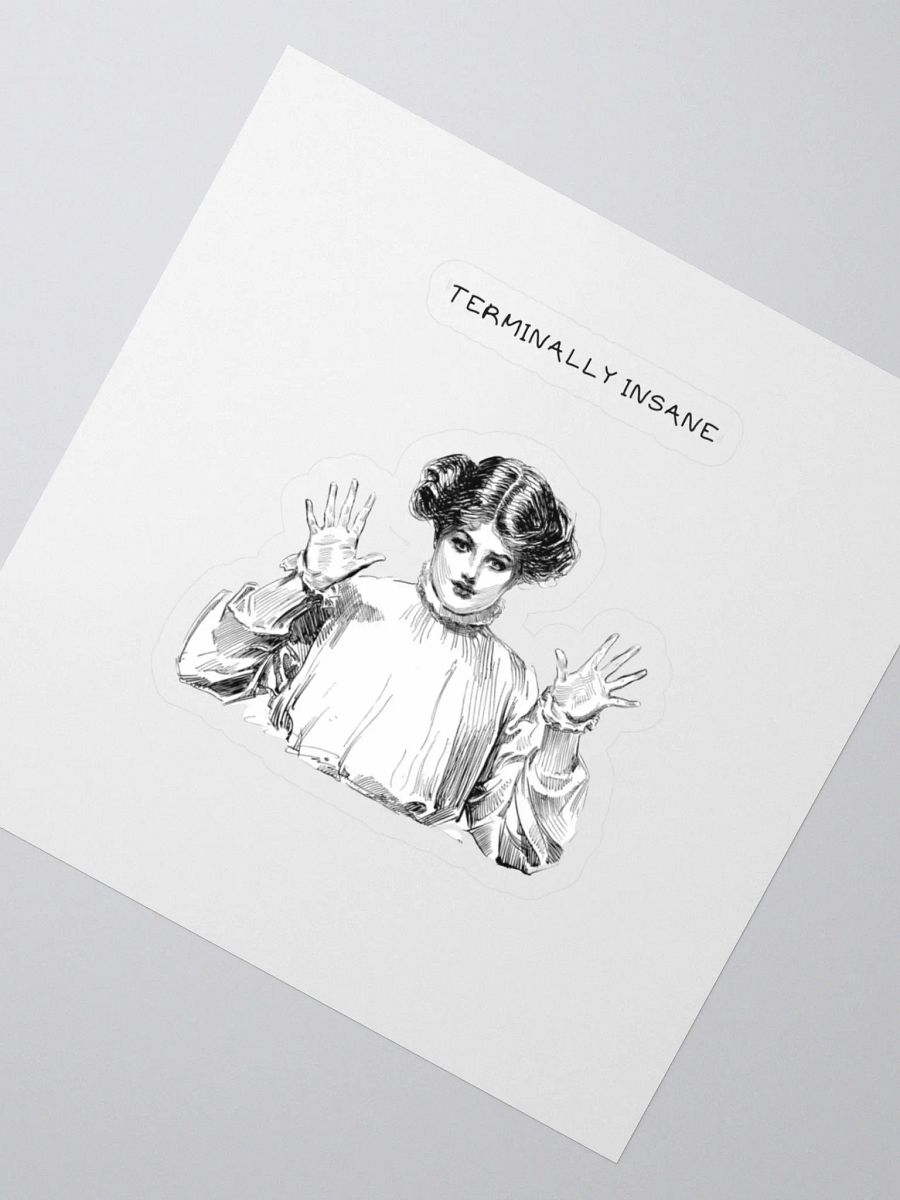 Terminally Insane product image (2)