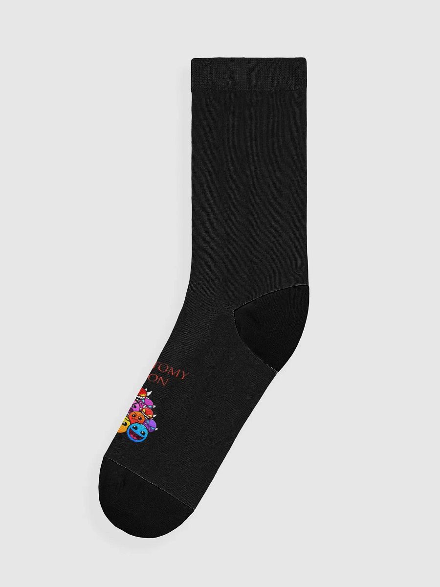 LOBOTOMY UNION SUSTAINABLE CREW SOCKS product image (3)