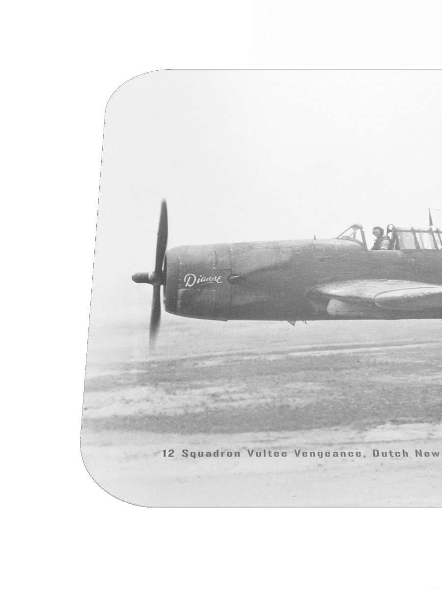 Vultee Vengeance "Dianne" product image (6)