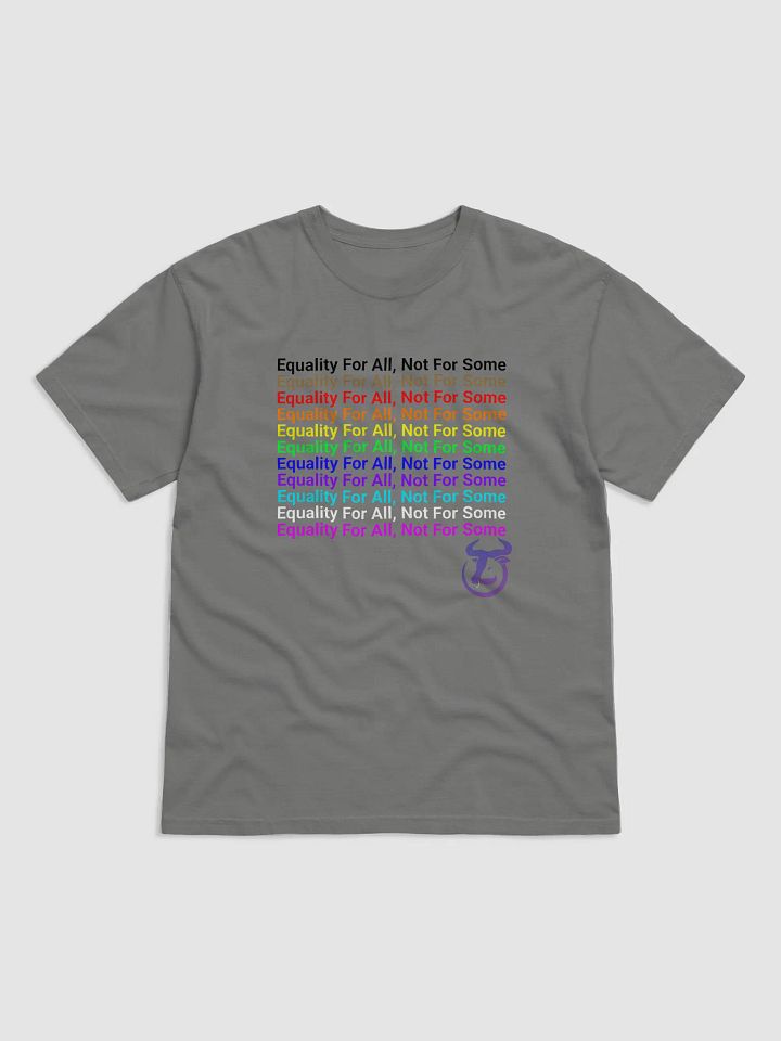 Equality For All, Not For Some T-Shirt product image (1)