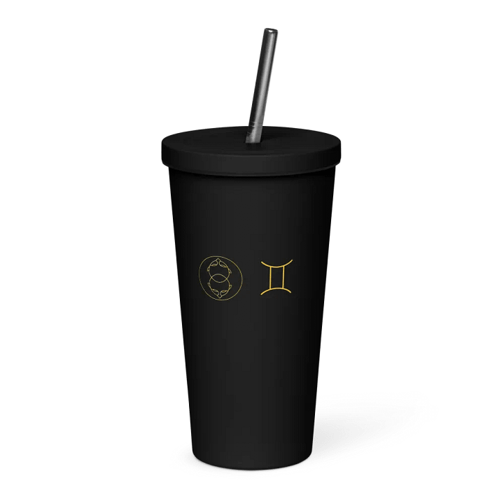 Gemini Zodiac Insulated Tumbler product image (6)