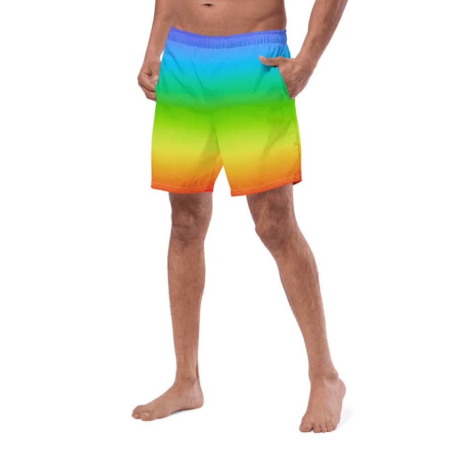 Rainbow Swim Trunks product image (7)
