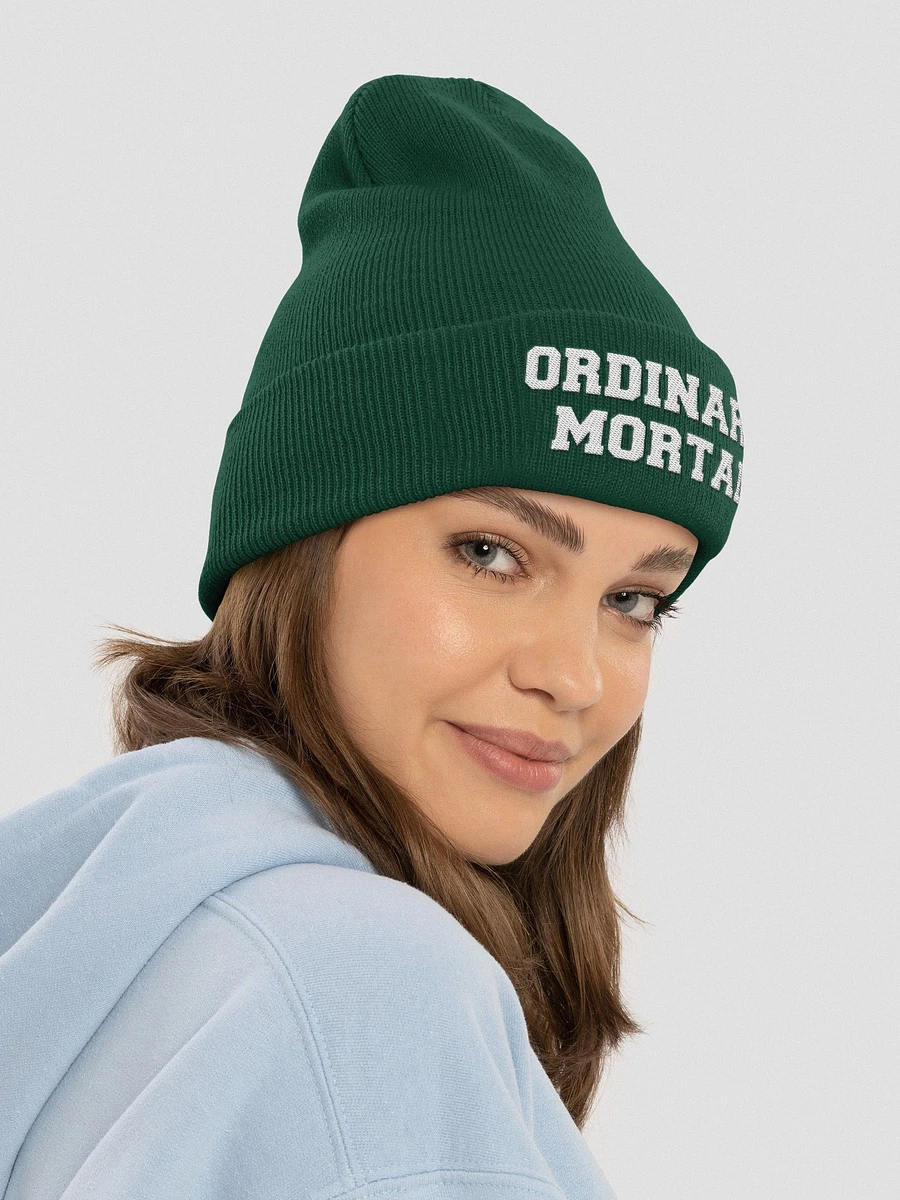 Ordinary Human embroidered beanie product image (21)