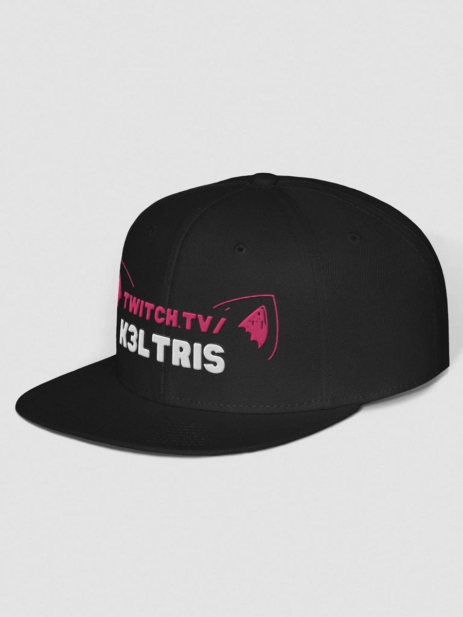 Logo snapback product image (2)