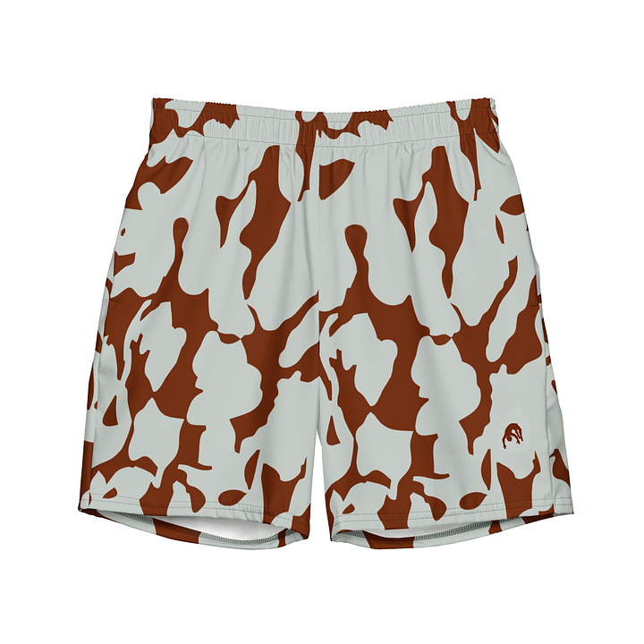 In Plain Sight product image (1)