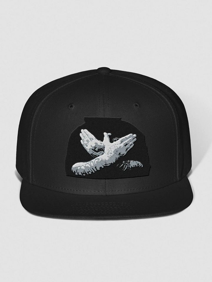 #tCt Cap product image (5)