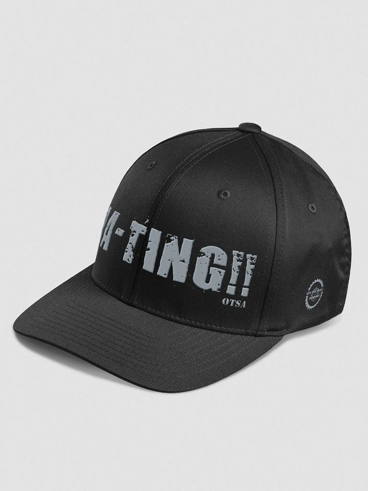 FlexFit PA-TING!! Logo Hat product image (2)