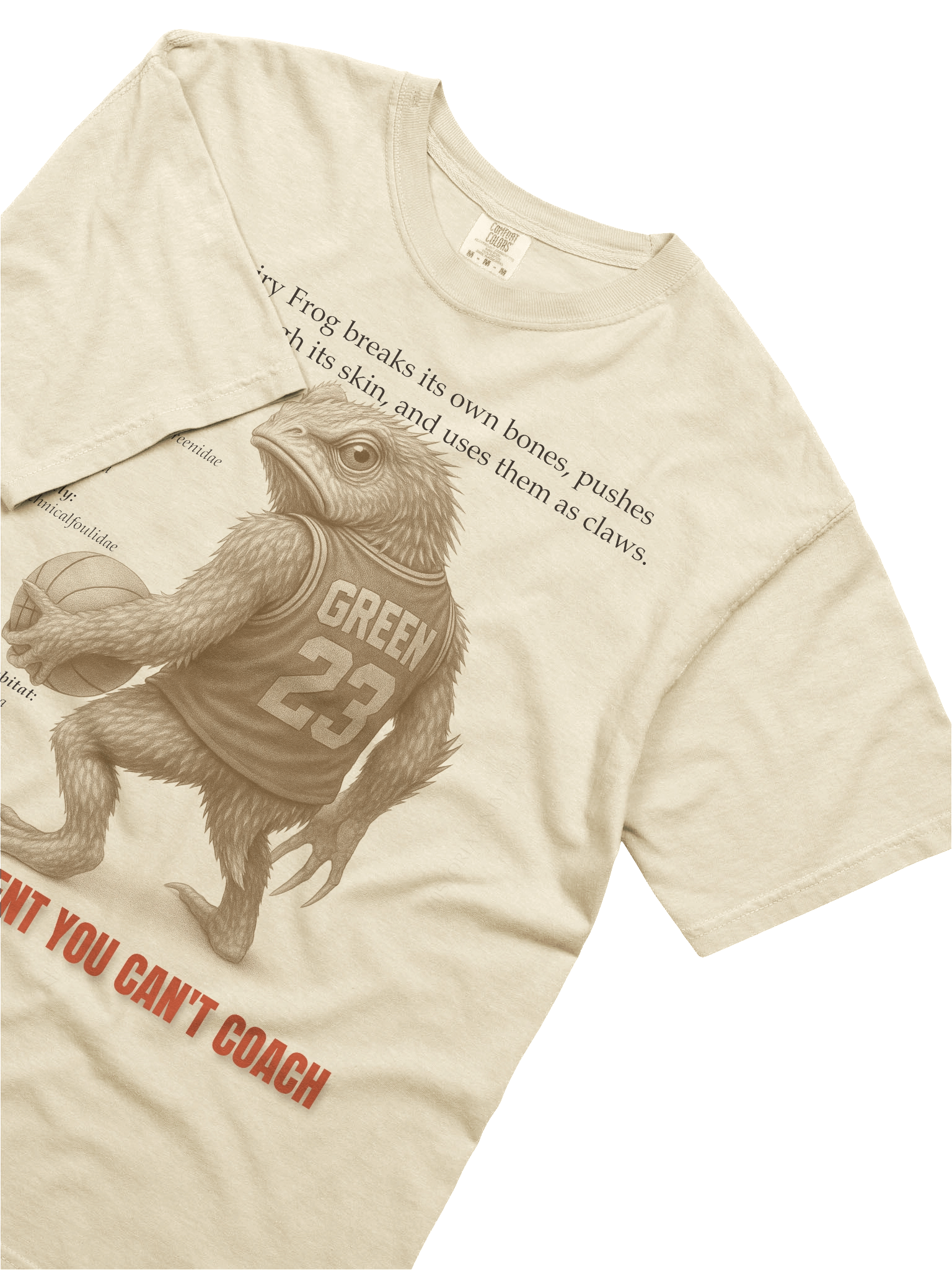 Commitment You Can't Coach product image (5)