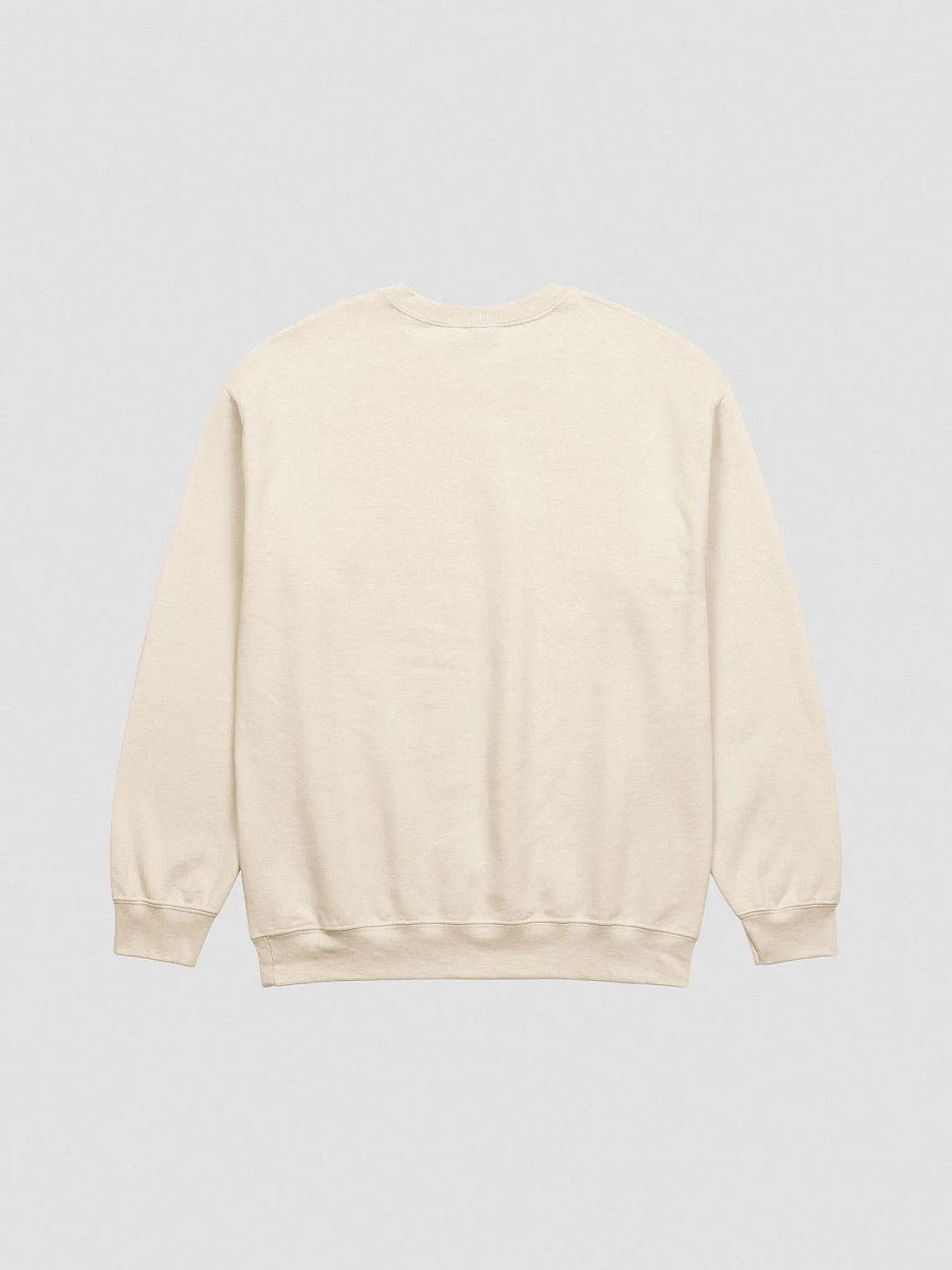 Gamer Spicy EMBROIDERED Sweatshirt product image (33)