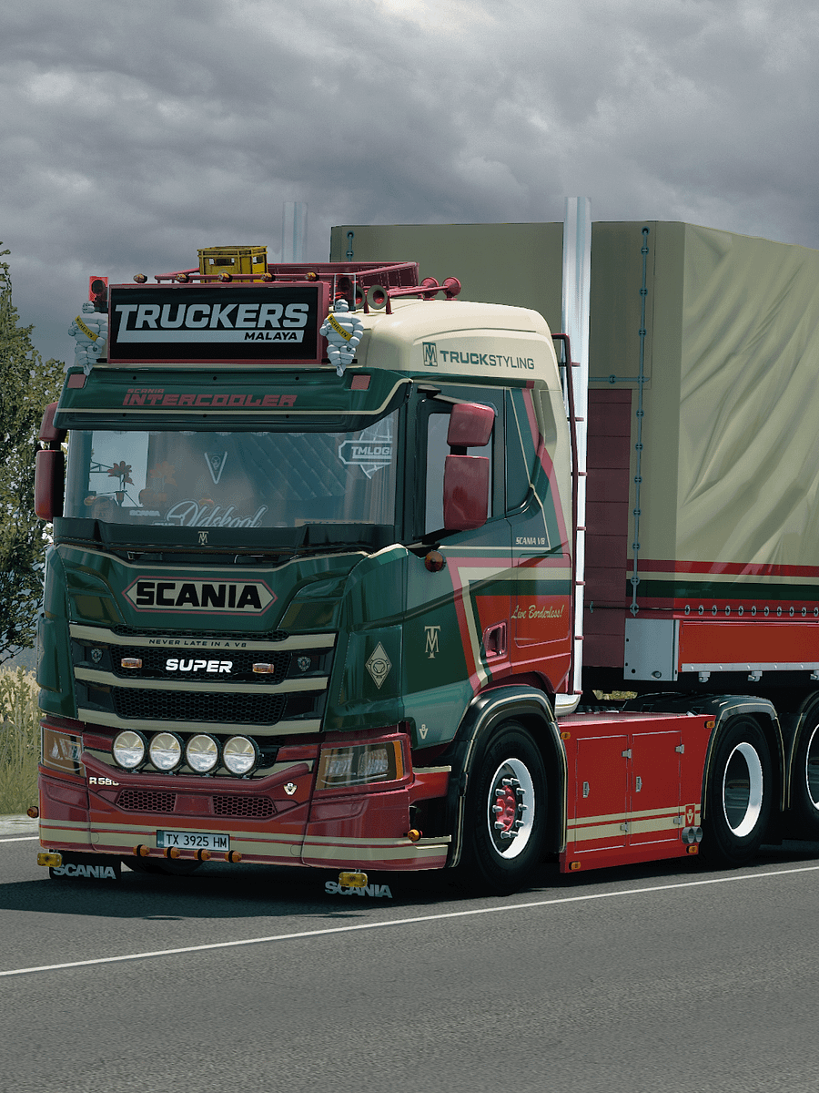 Early Access! ETS2 TM Scania R & S Next Gen 2016 Skin Pack (Glossy & Matte) Changeable Multicolor Skin Pack + Trailer skin product image (7)