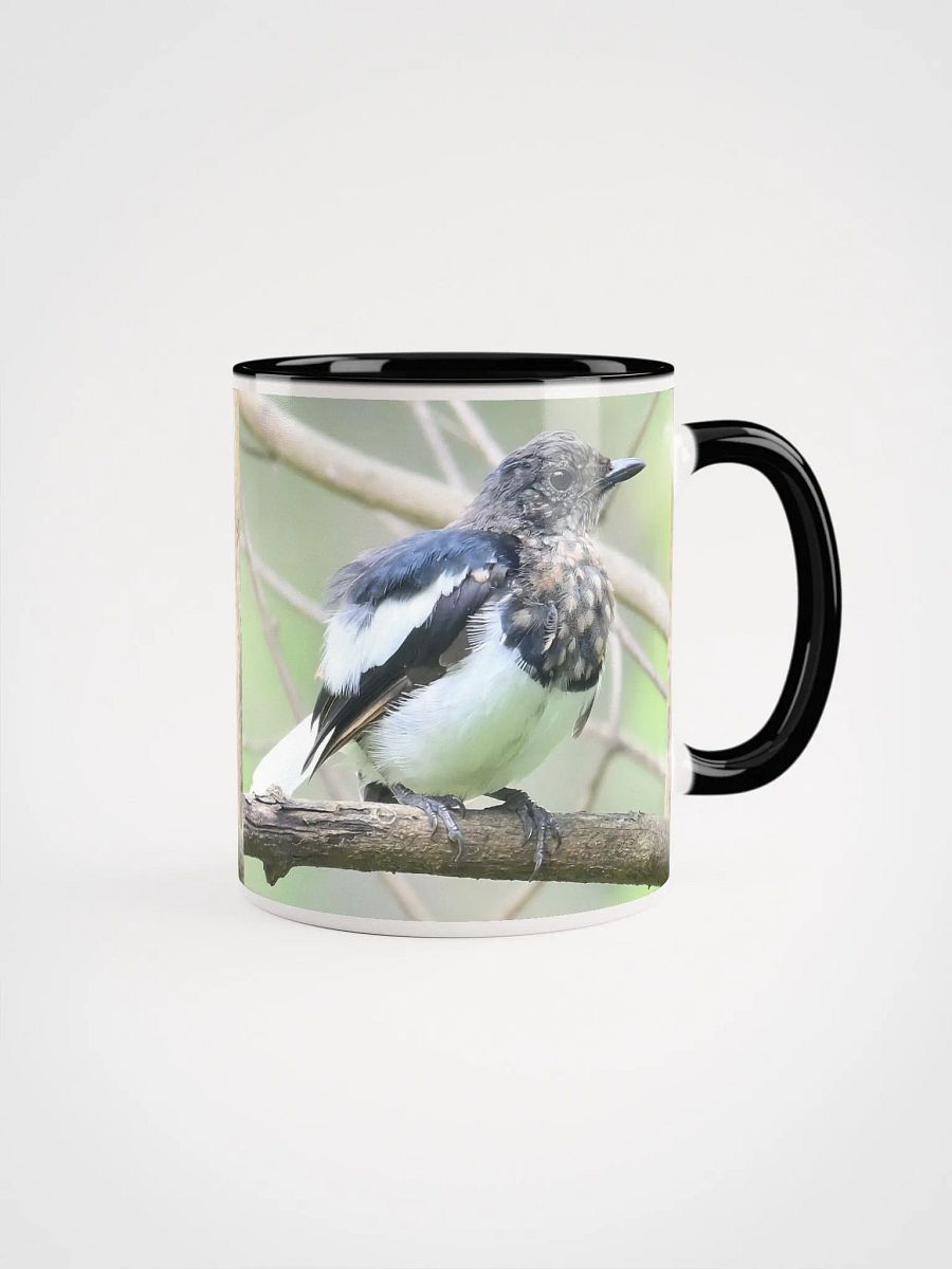 IUCAA Birds: Ceramic Mug with Color Inside product image (1)