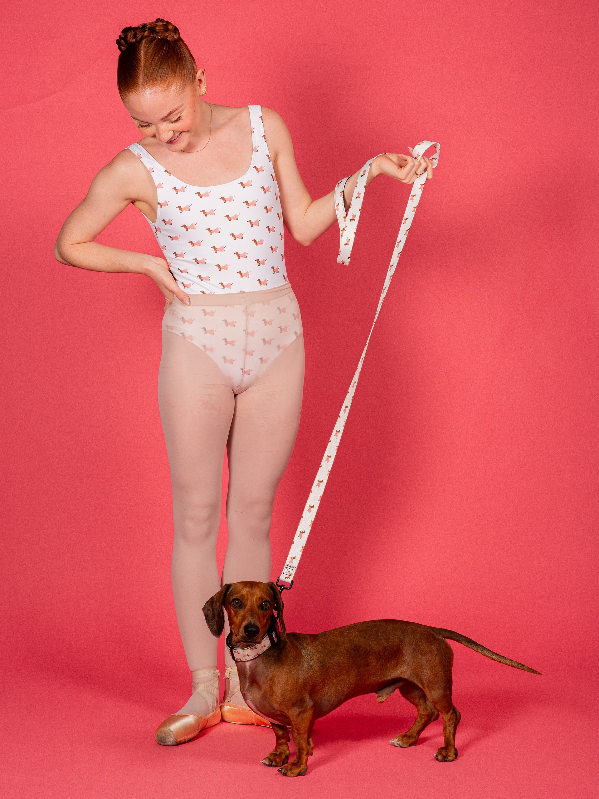 Doxie Leash product image (3)