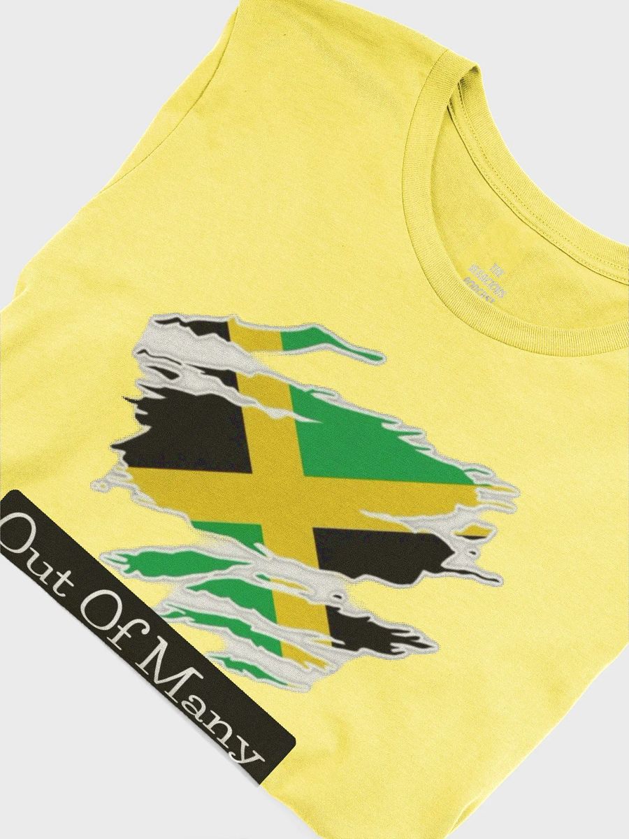 Out of Many Supersoft T-Shirt product image (6)