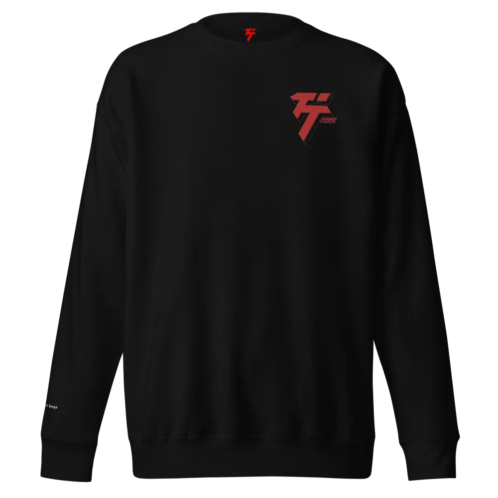 Believe Jesus Embroidered Sweatshirt product image (2)