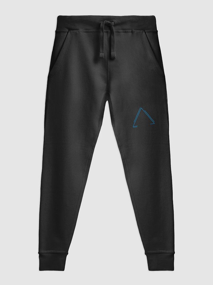 Blue Triangle Fleece Joggers product image (3)