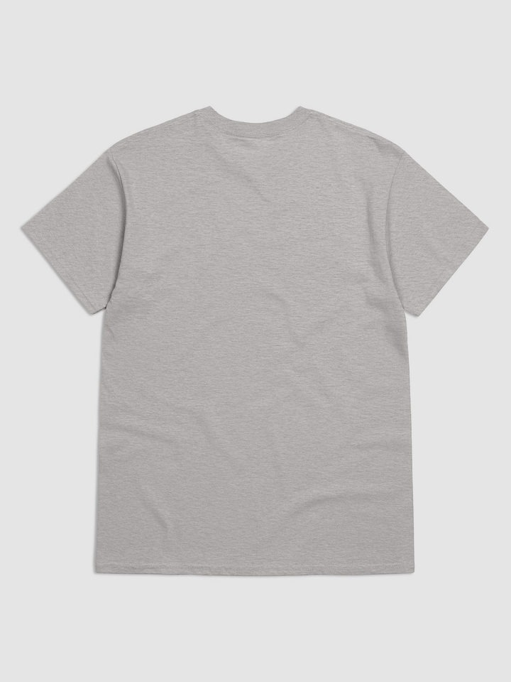 Divine Affirmation T-Shirt product image (12)
