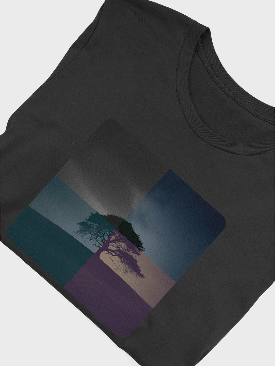 Four Season Chromatic Tree Silhouette T-Shirt product image (21)