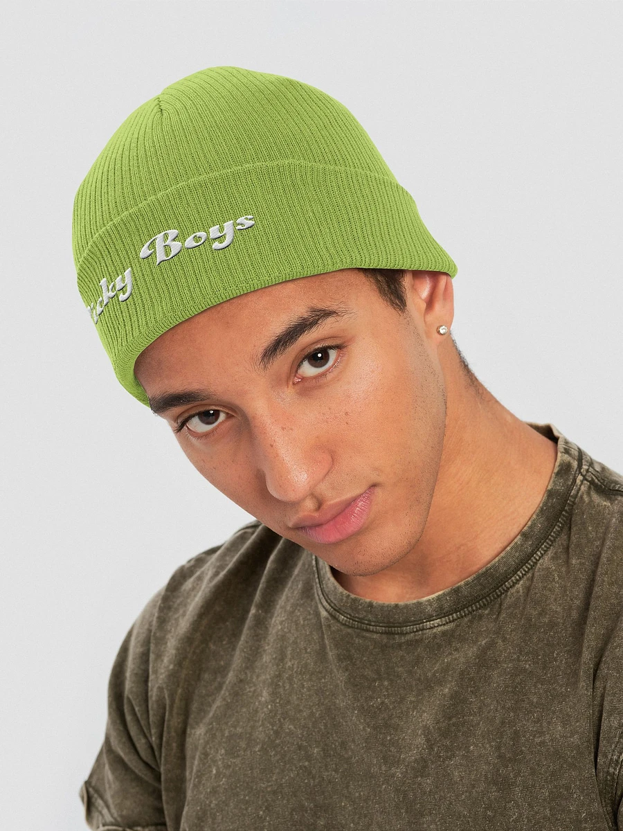 Picky Boys Embroidered Beanie (5 Colors) product image (14)