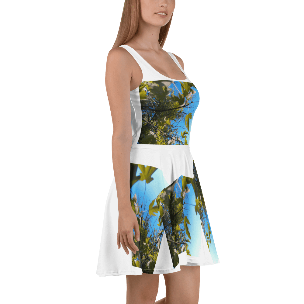 the sky product image (3)