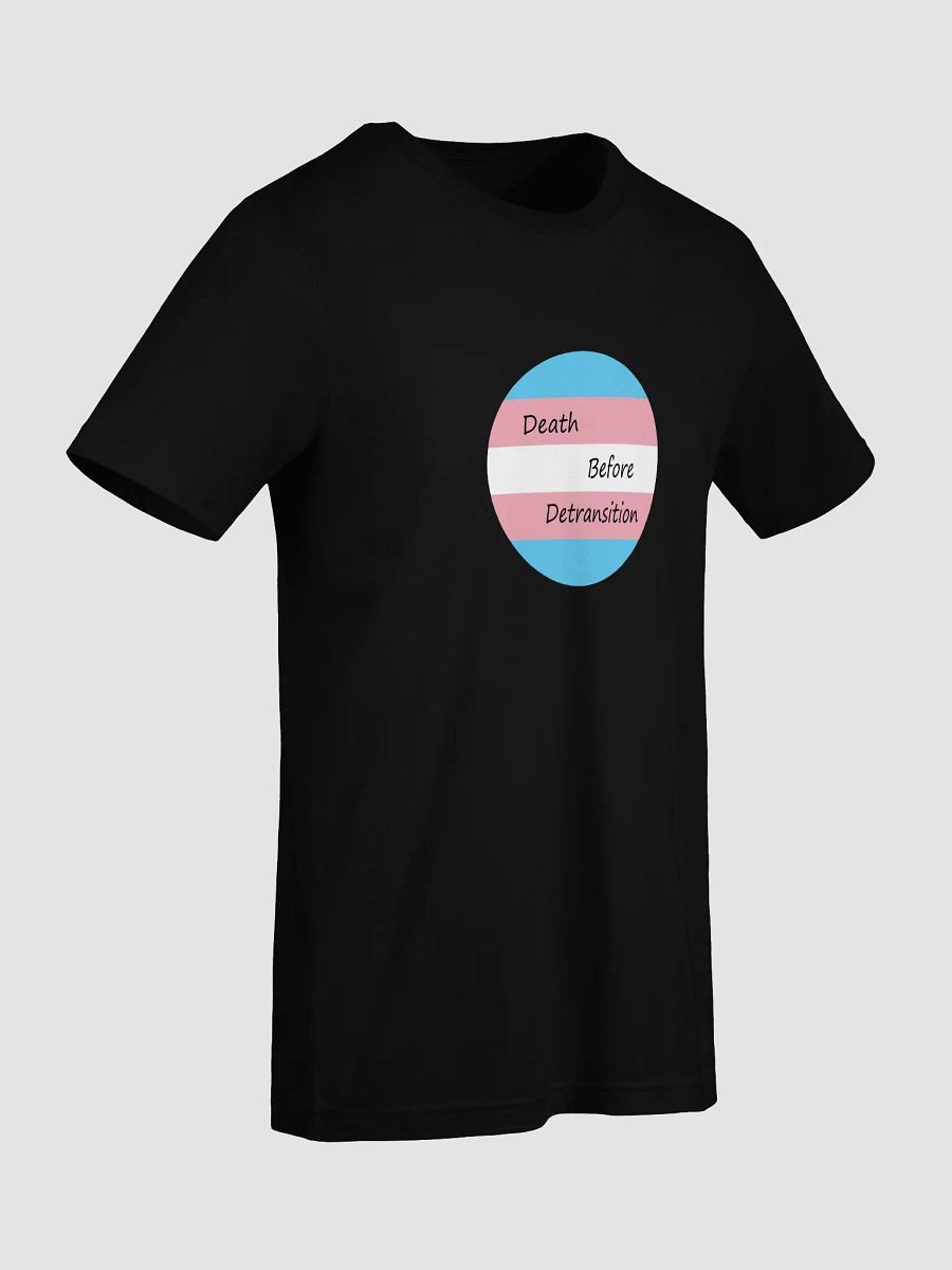 Death Before Detransition Tee Circle Design product image (9)
