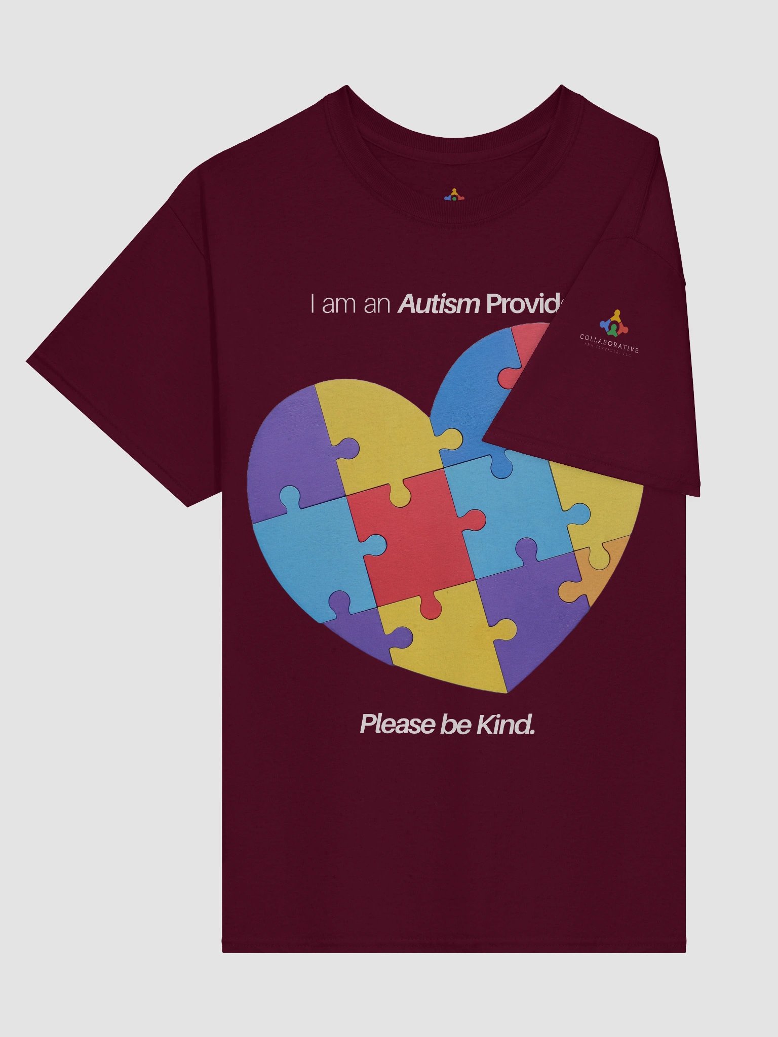 I am an Autism Provider Please Be Kind T-Shirt product image (3)