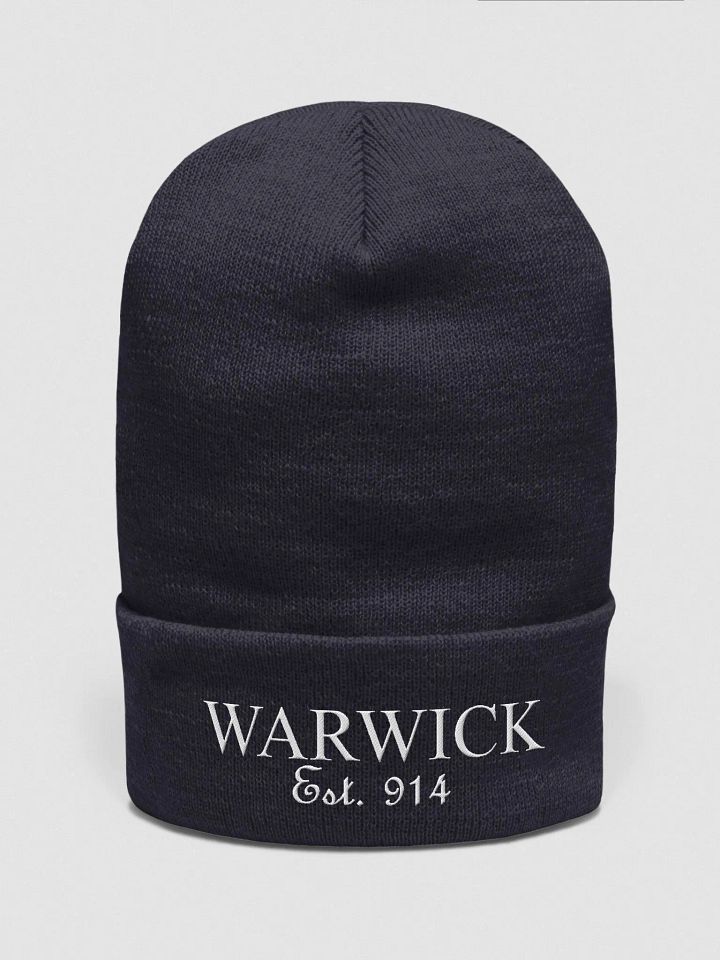 Warwick 914 - Classic Beanie - Dark product image (2)