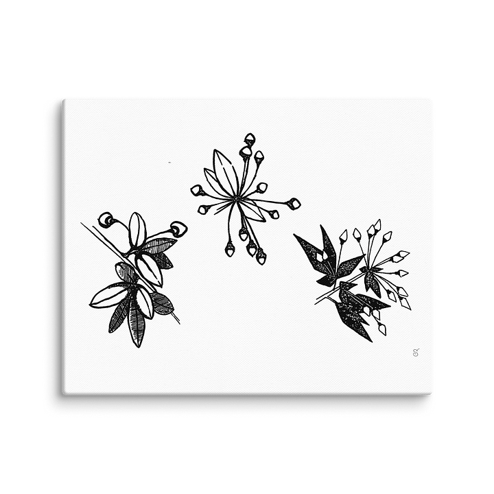Blank Canvas Masterpieces - Stylized Plants product image (1)