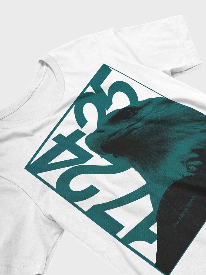 "Back to Back" Eagle Tee product image (2)