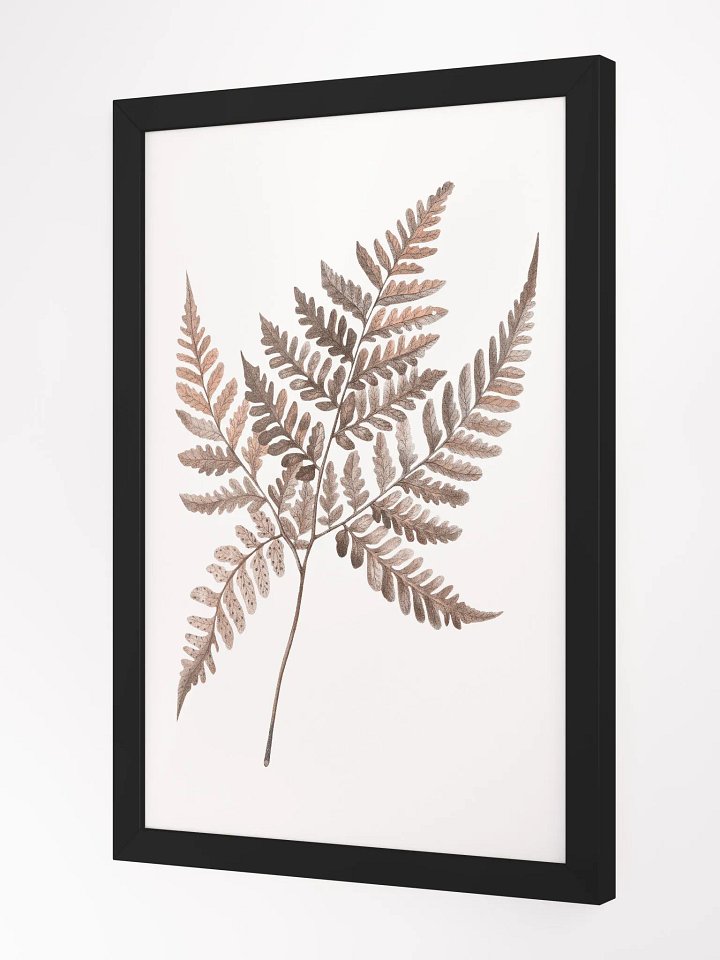 Ecotone Fern #3 Framed Print product image (2)