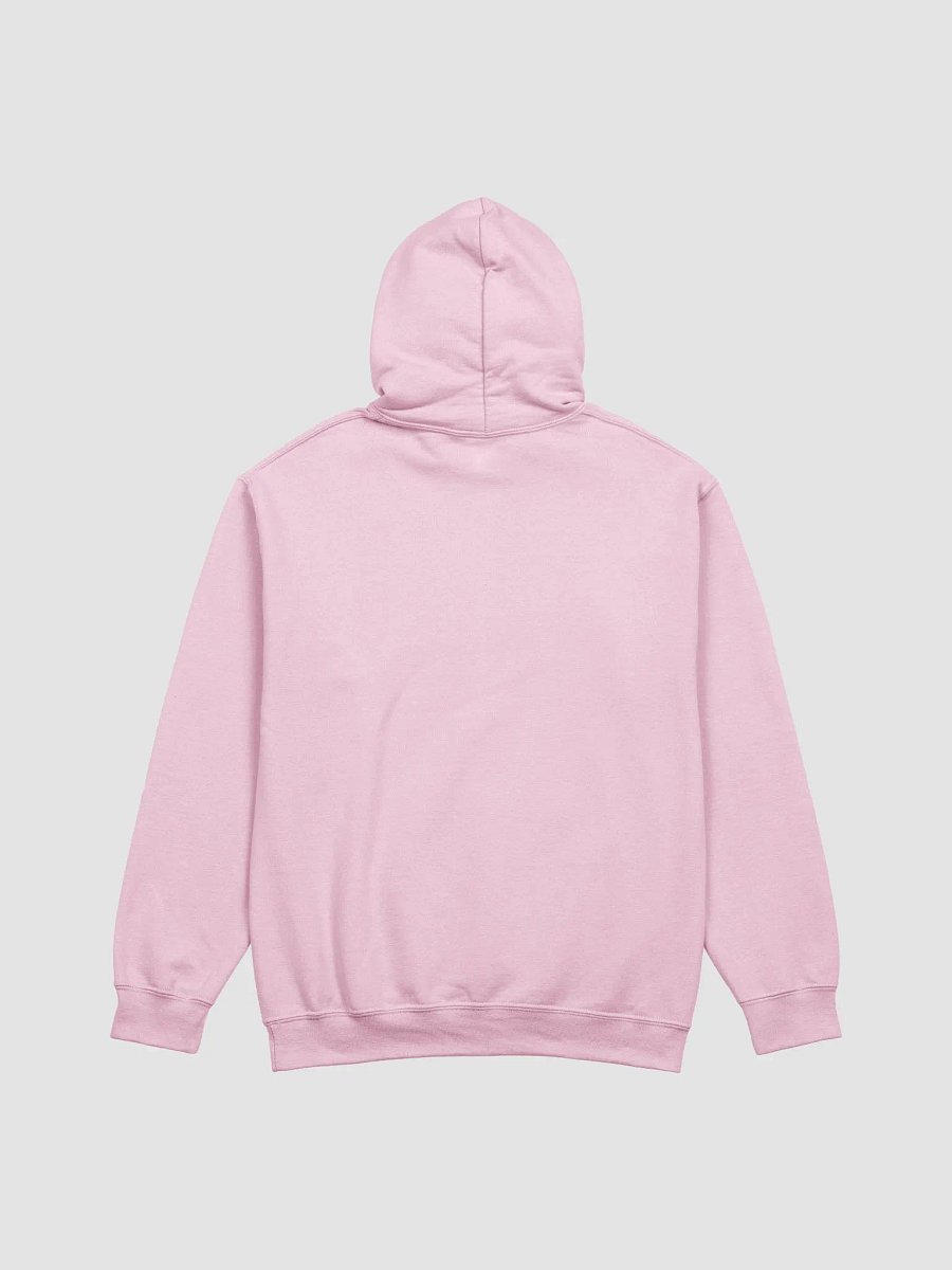 AntiLove Hoodie product image (9)