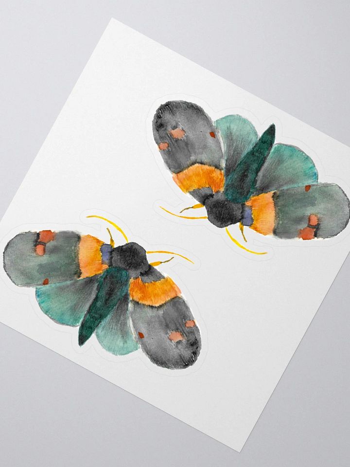 African Peach Moth Sticker (x2) product image (2)