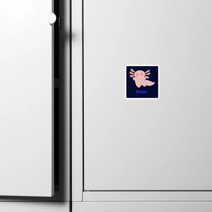 aimant AXOO product image (10)