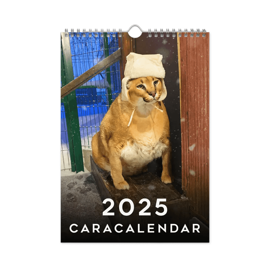 FLOPPA CALENDAR FOR 2025 product image (5)