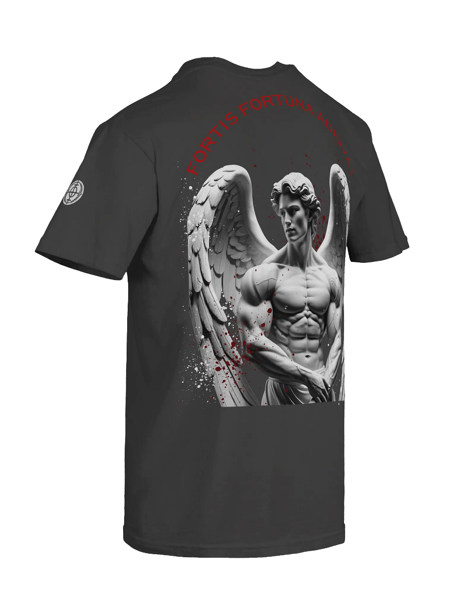 Fortis Fortuna Adiuvat Tee product image (8)