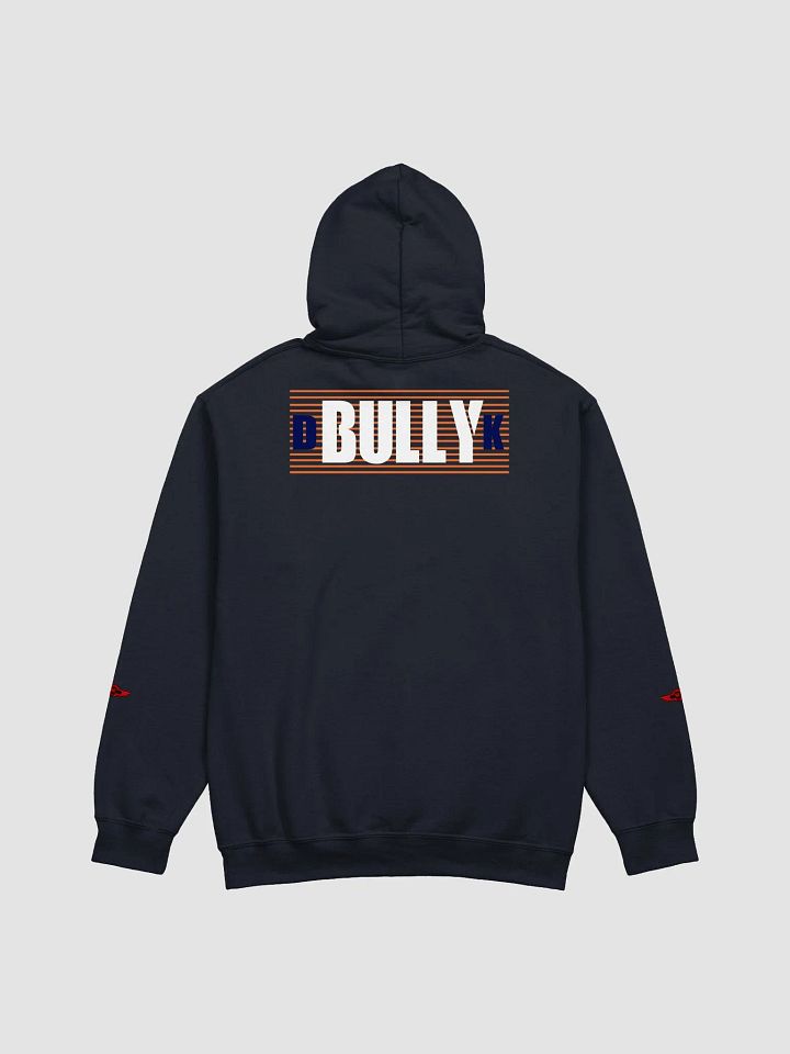 UNDERSTAND FULLY (HOODIE ) LD product image (2)