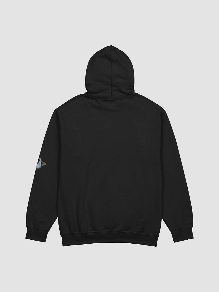 Send Knoodles Hoodie product image (2)