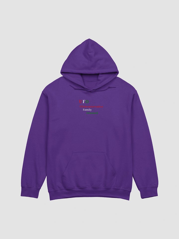 UFO Wordplay Gildan Hoodie product image (1)