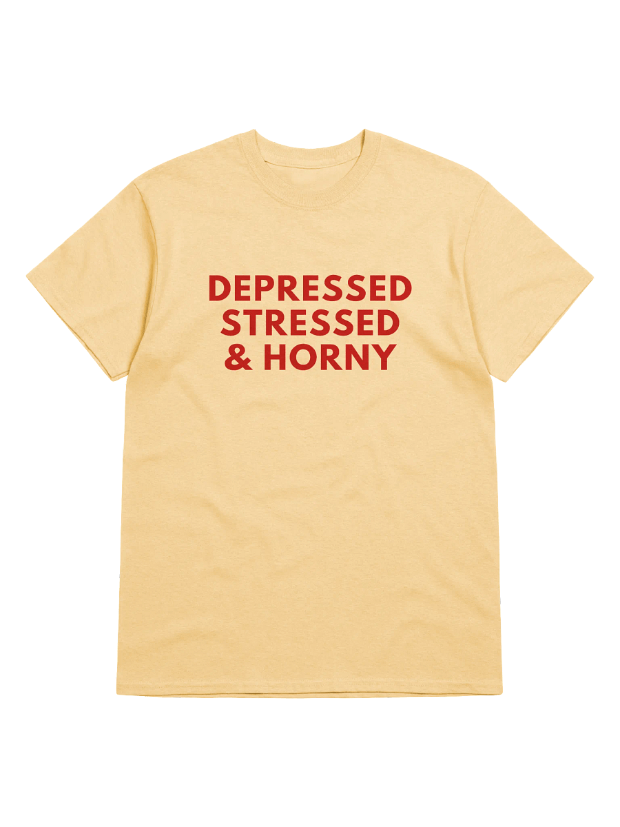 Depressed Stressed & Horny T-Shirt product image (1)