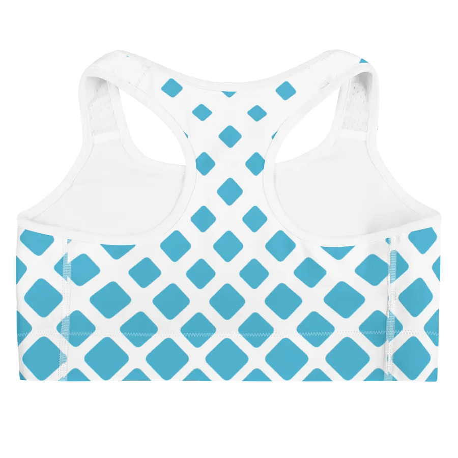 Tizzy Sports Bra product image (7)