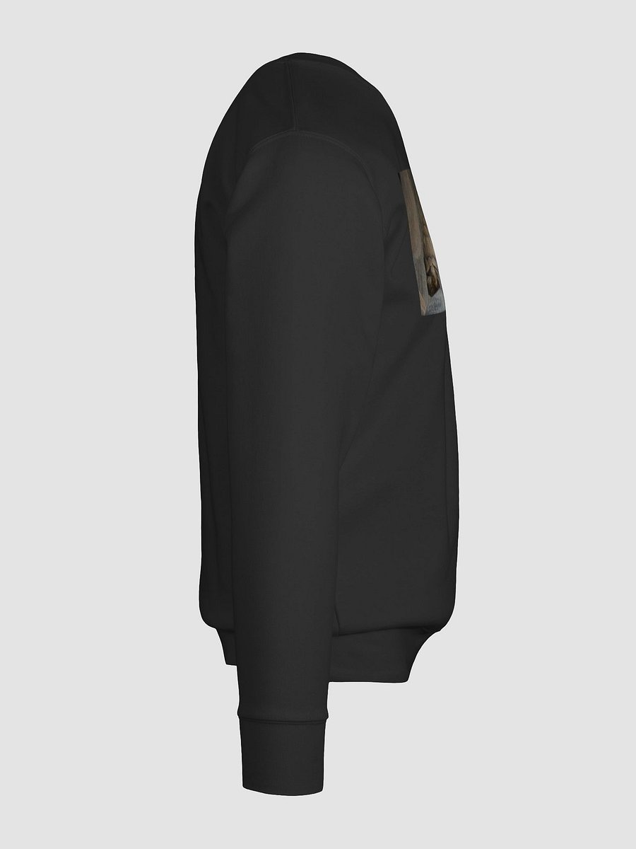 Hexagonal Tortoise Oasis Sweatshirt product image (12)