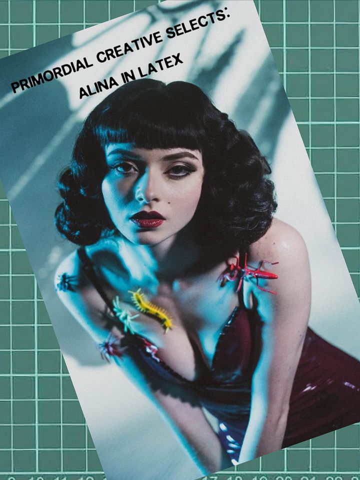 Alina in Latex 36 Page E-Zine of Art Model Photography product image (1)