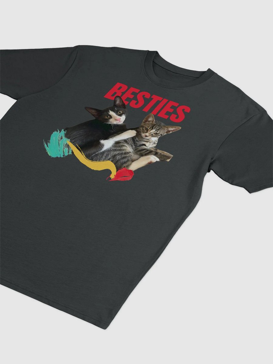 Besties Embrace Men's Tee product image (3)